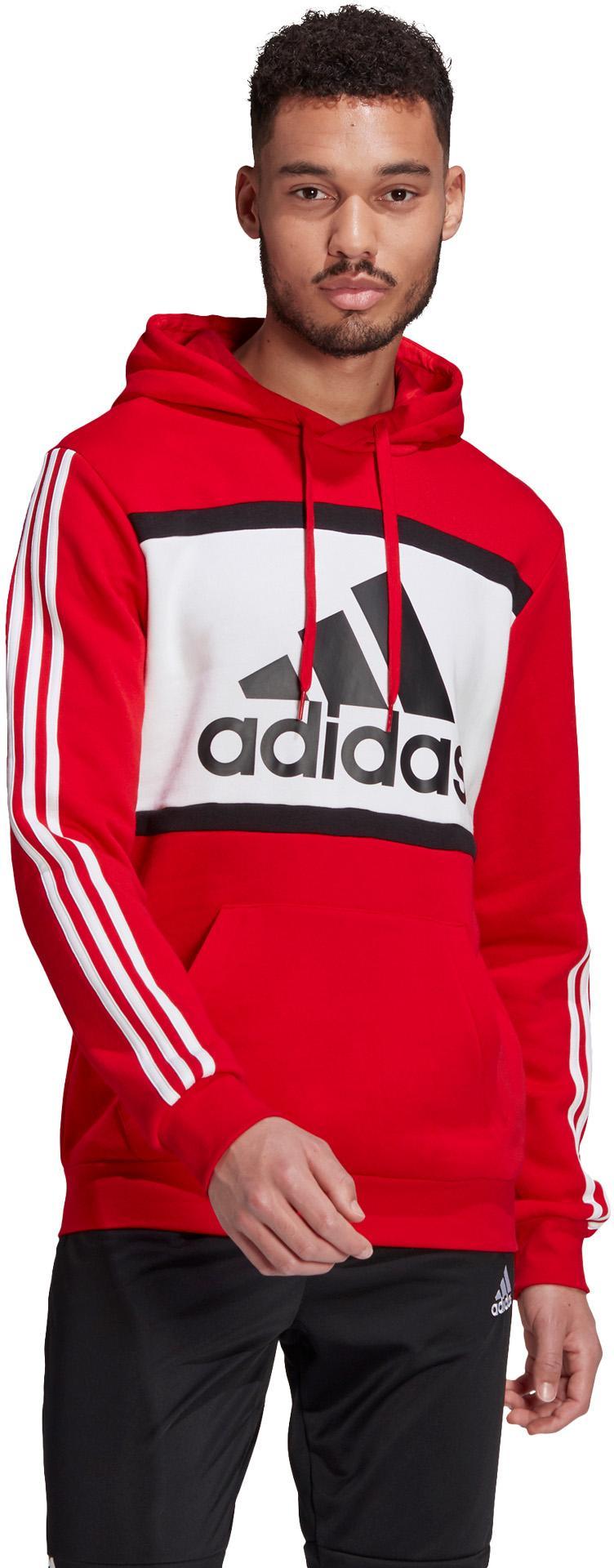Essentials Logo Colorblock Hoodie