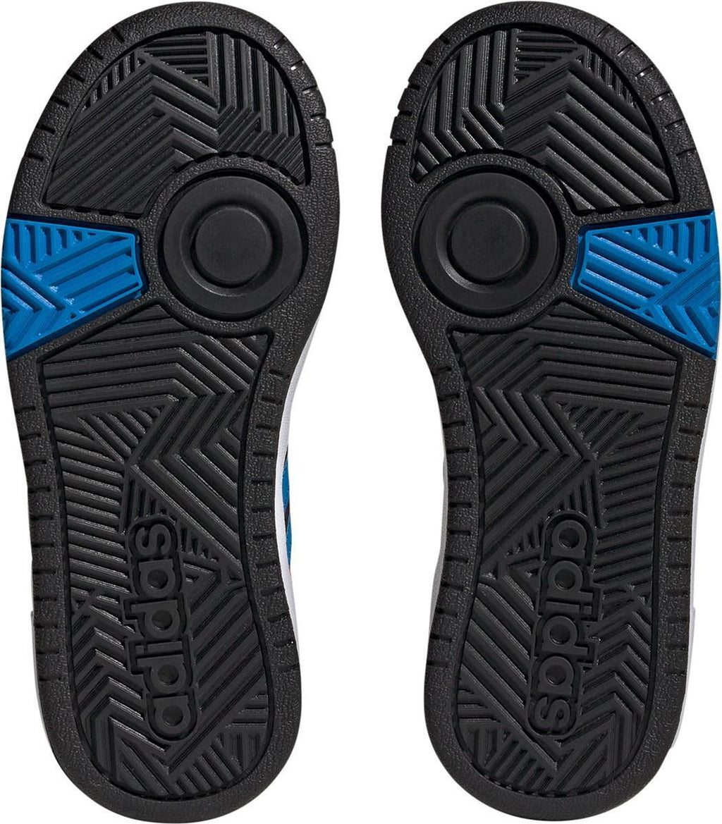 Hoops sneakers