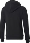 Puma Power Graphic Hoodie