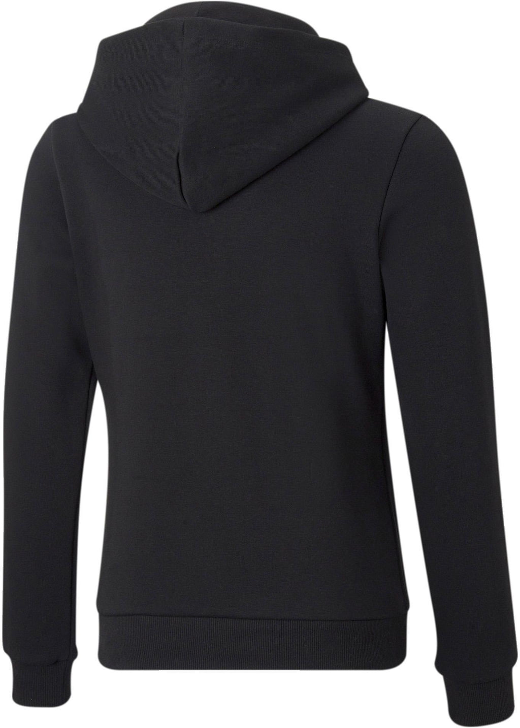 Puma Power Graphic Hoodie
