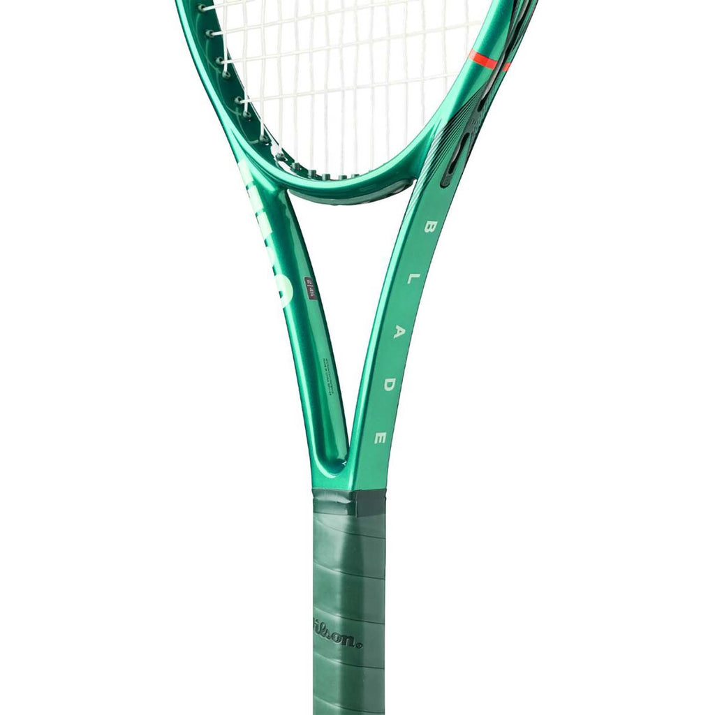 blade 100l v10 frm 1