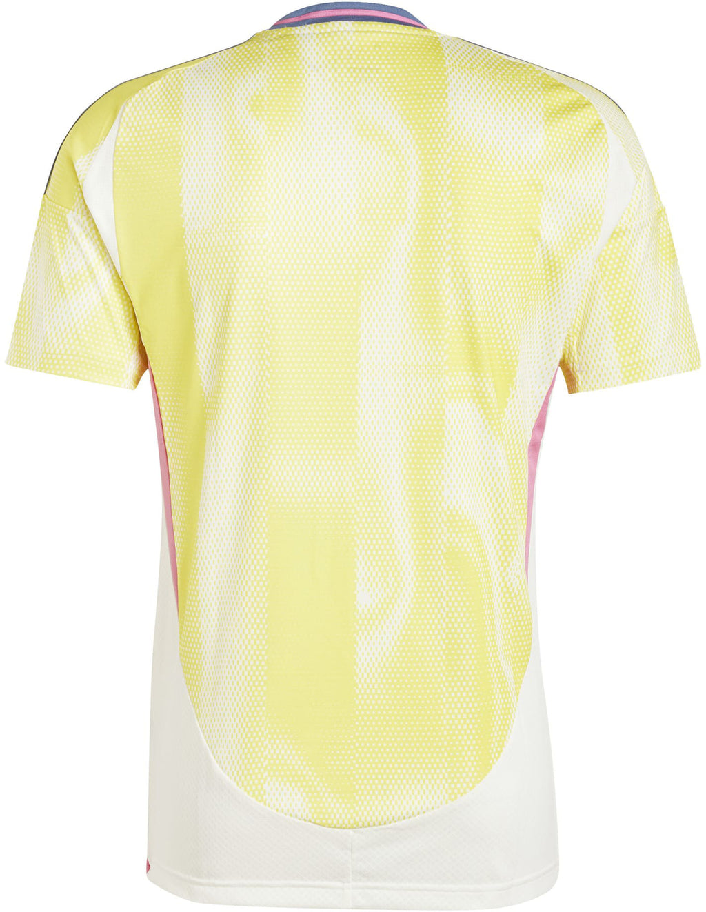 Juventus 24/25 uitshirt