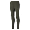 Evostripe Pants