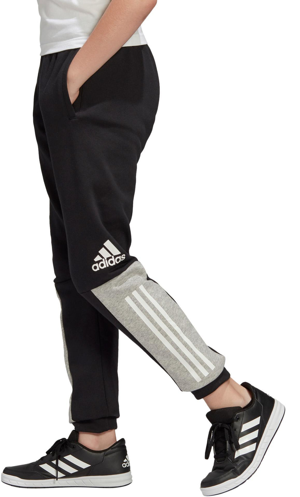 Yb Sid Pant
