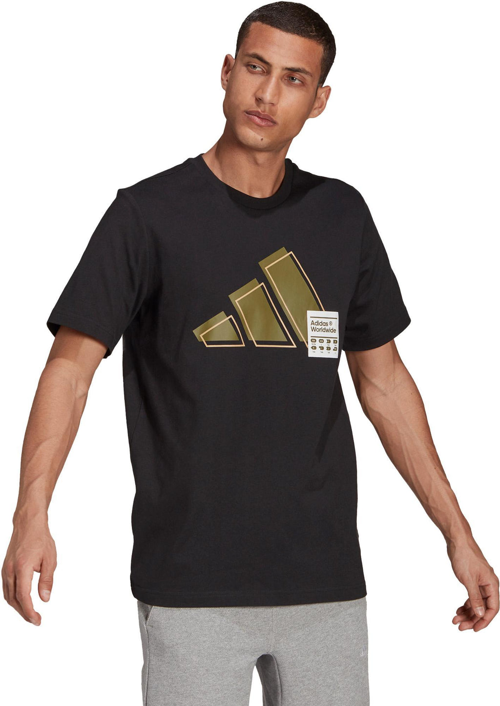 Short Sleeve Graphic t-shirt