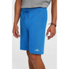 Small Logo Sweatshorts