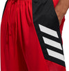 Pro Madness Short