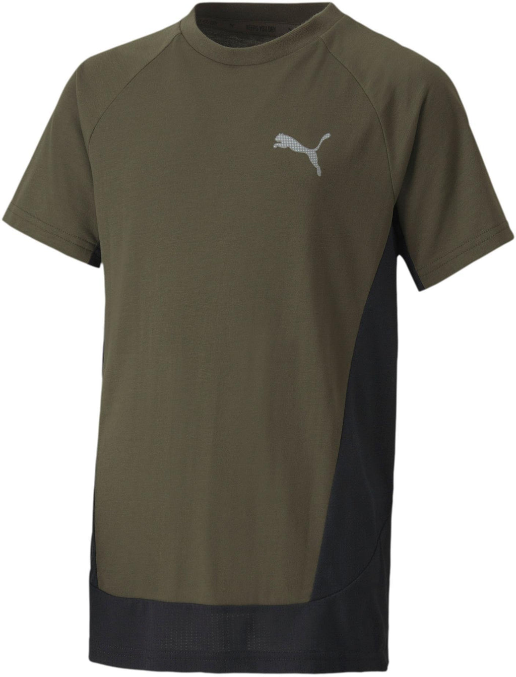 Evostripe Tee