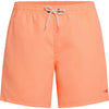 Vert 16 Zwemshort