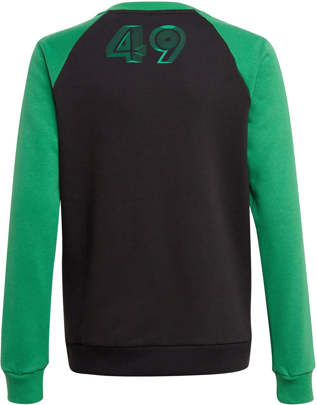 Colorblock Sweatshirt