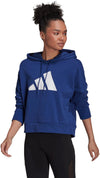 Sportswear Future Icons hoodie