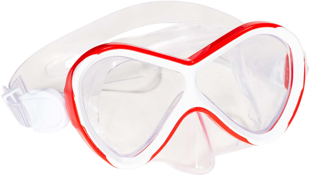 Abaco Coral snorkel