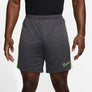 Dri-FIT Academy Soccer short