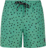 Prtjuan Beachshort