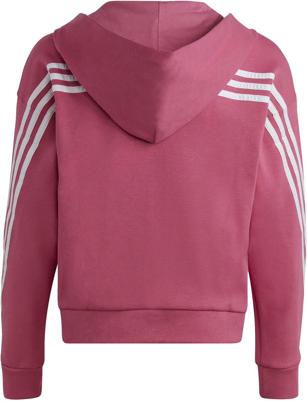 Future Icons 3-Stripes ritshoodie