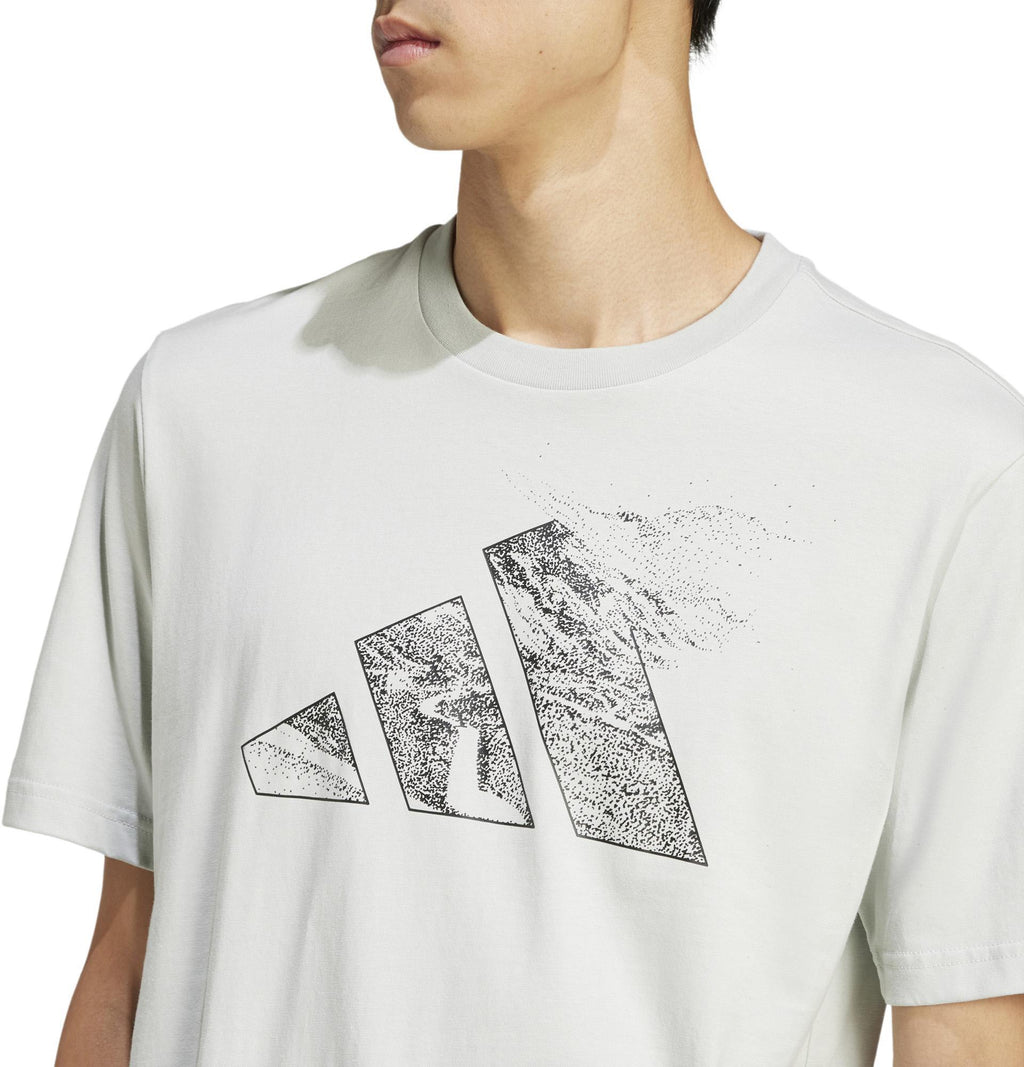 m t ce logo t