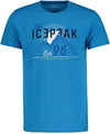 Briarcliff T-shirts