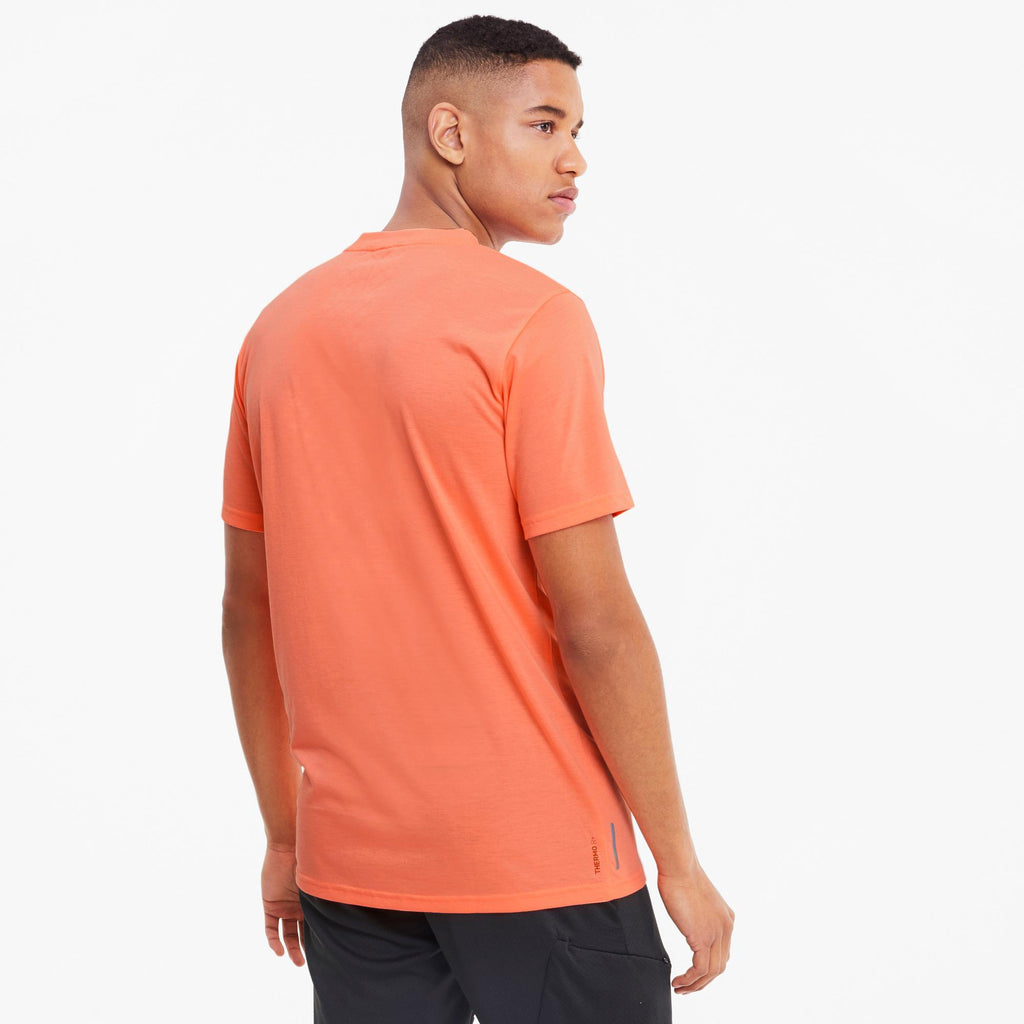 train thermo r+ bnd ss tee