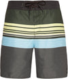 Baxter Beachshort
