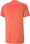 Train Tech Evoknit Ss Tee