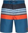 Baxter Beachshort