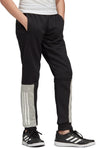 Yb Sid Pant