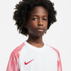 Nike Dri-fit Academy Big Kids' Socc