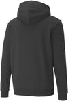 amplified hoodie
