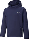 Evostripe Hoodie