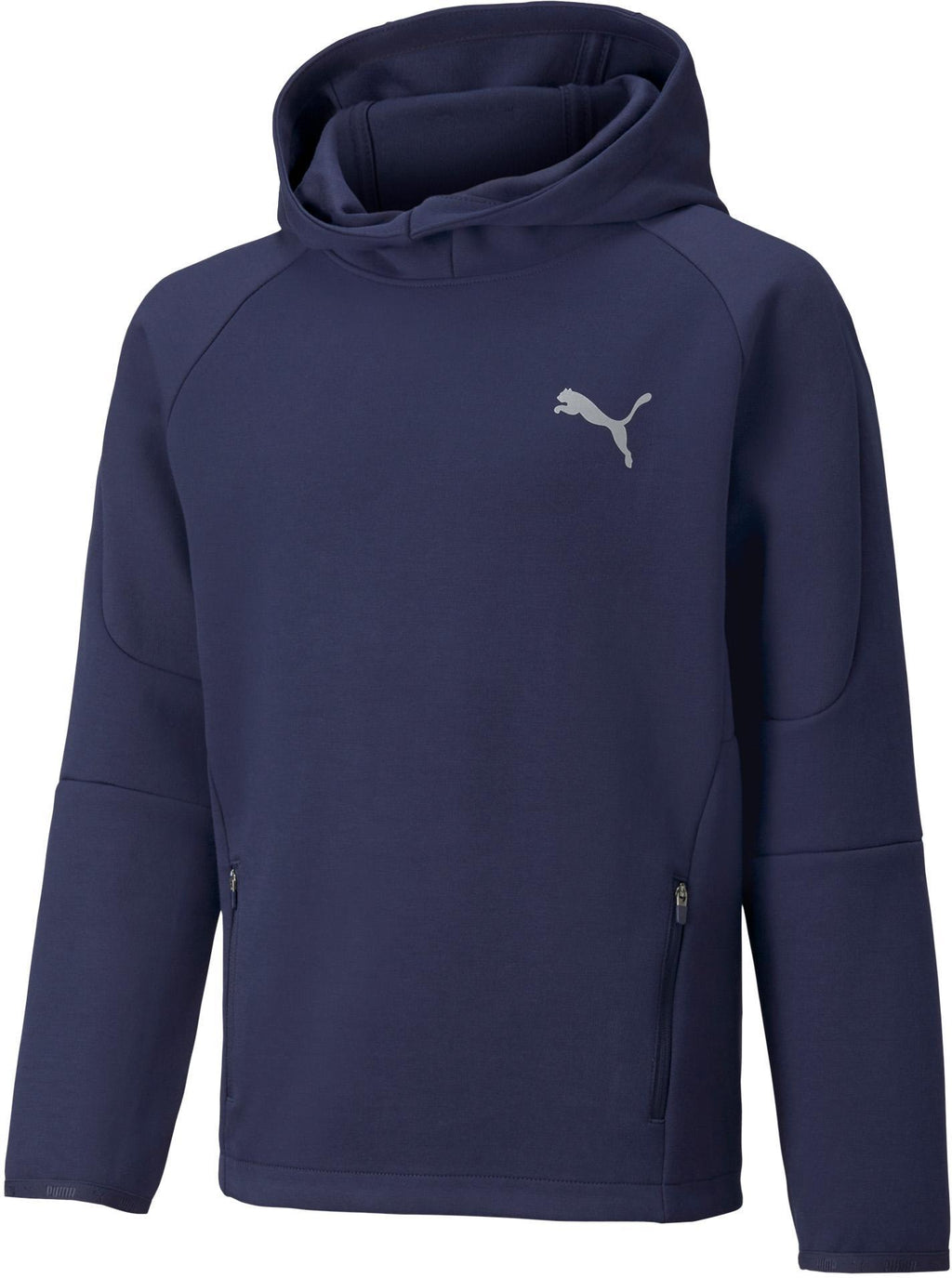 Evostripe Hoodie
