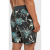 Hyperfreak Mysto Scallop 19 Bo Zwemshort