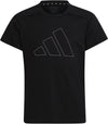 Essentials AEROREADY Regular-Fit Logo shirt