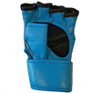 Traditional Grappling handschoenen