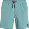 Culture Beachshort