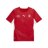 Sfv Home Jersey Replica trainingsshirt voetbal