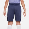 Tottenham Strike trainingsshort