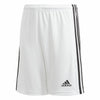 Squadra 21 short