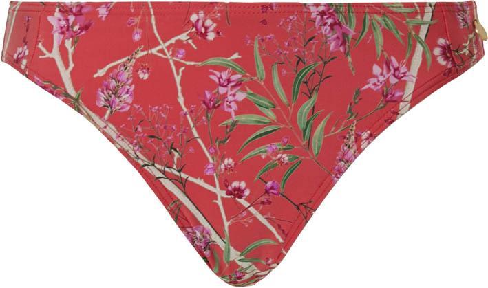 Standard Bikini Brief