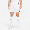 Dri-FIT Academy Soccer short