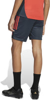 FC Bayern München Tiro 25 Competition Training Short Kids