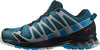 XA PRO 3D v8 GORE TEX