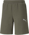 Evostripe Shorts