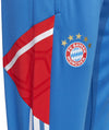 FC Bayern Condivo 22 Training Pants