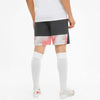 Individualcup Shorts