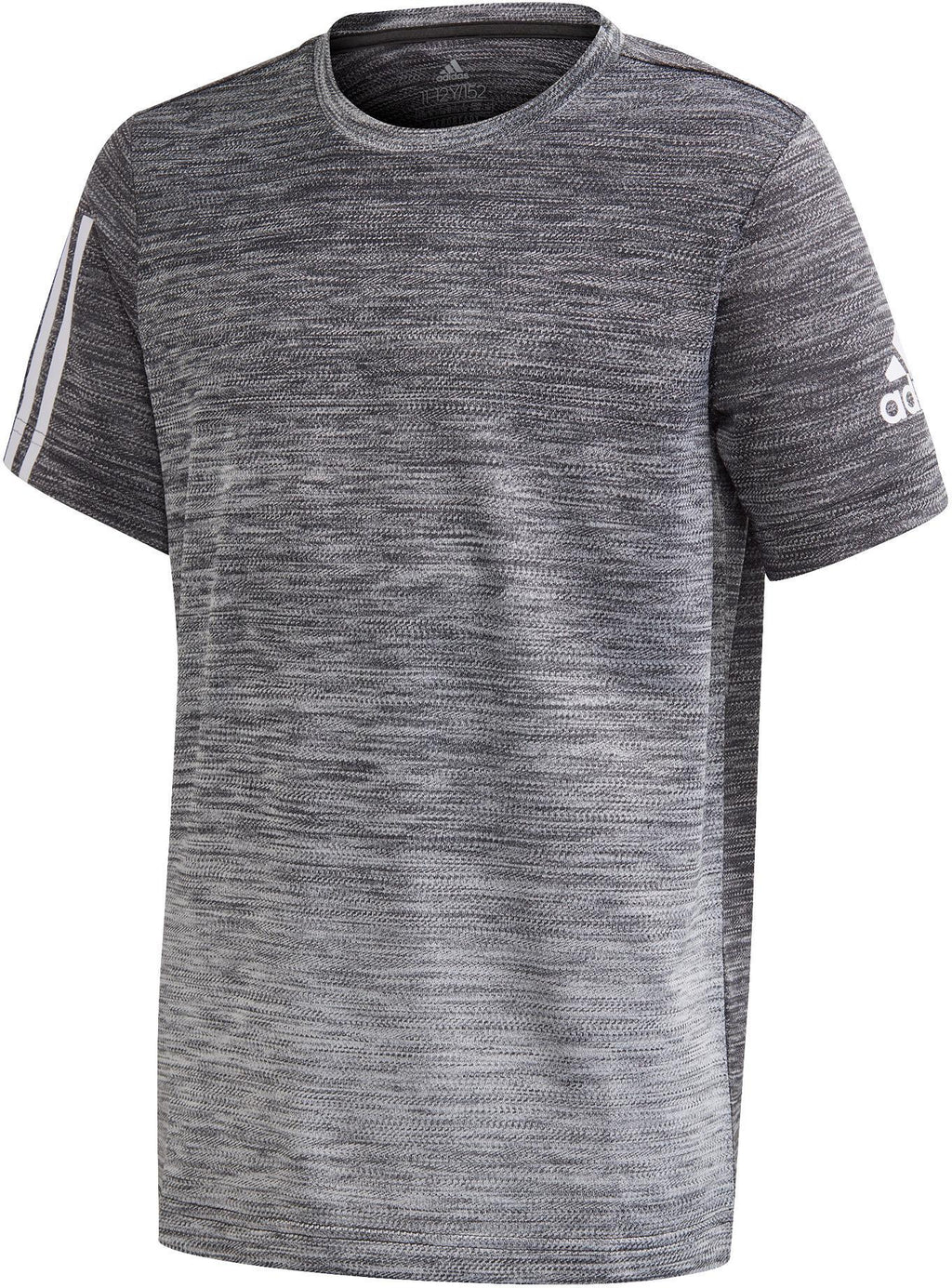 Yb Tr Grad Tee