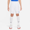 NIKE DRI-FIT PARK III BIG KIDS