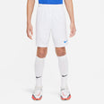 NIKE DRI-FIT PARK III BIG KIDS