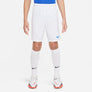 NIKE DRI-FIT PARK III BIG KIDS