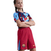 Big Kids' Nike Dri-FIT Voetbal Replica Korte broek