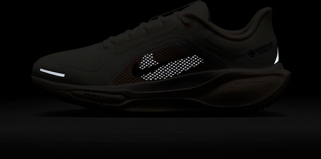 SCARPE NIKE PEGASUS 41 GORE-TEX W COBALT/BRONZE/NA